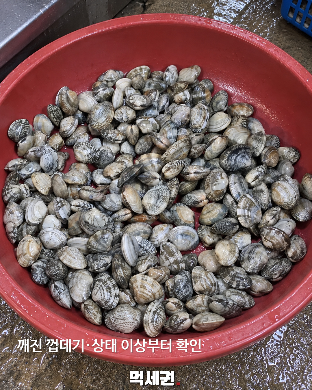 바지락 해감, 소금물만큼 중요한 것은…모래 배출과 가열은 별개 2 바지락 해감 먹세권 본문 1
