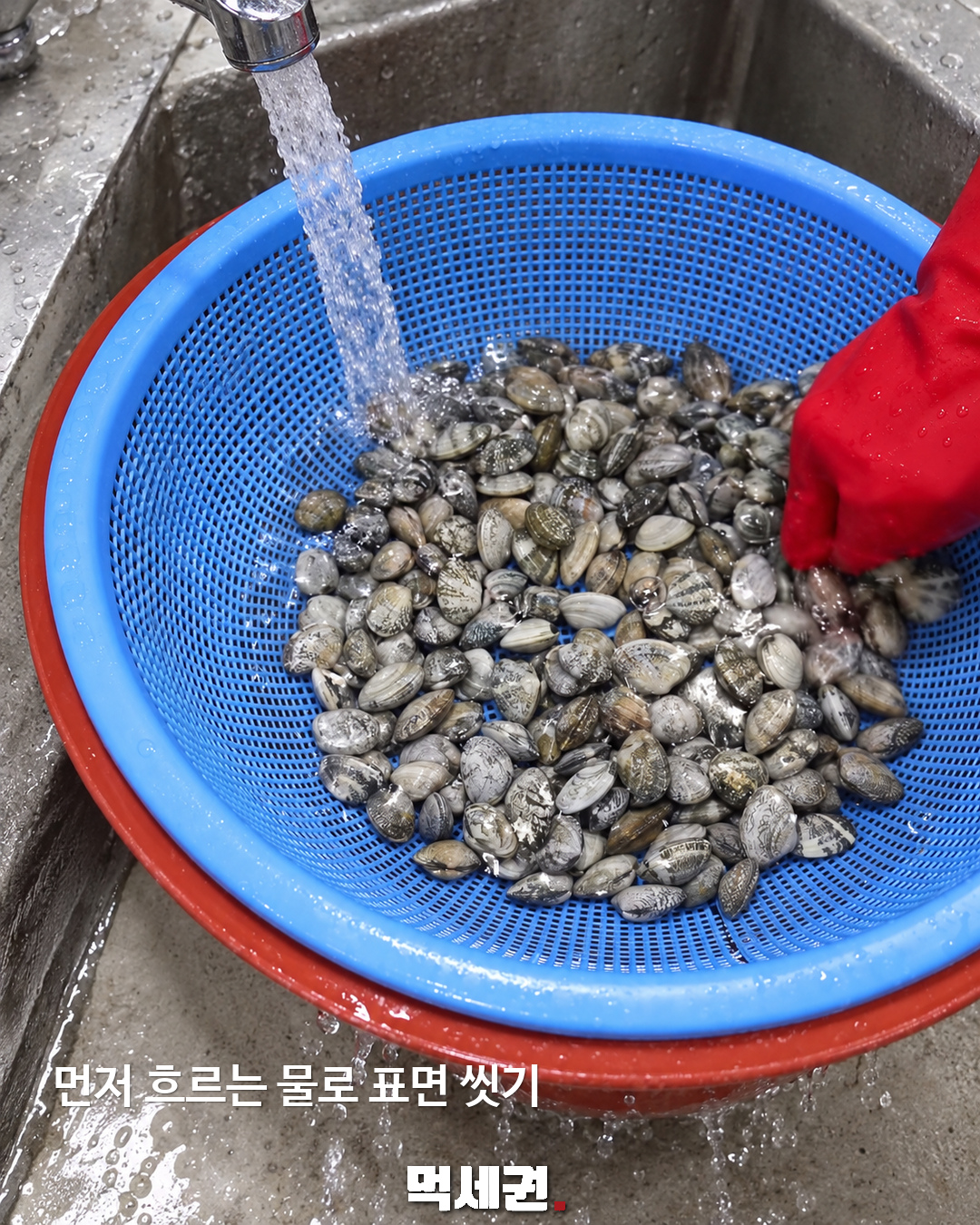 바지락 해감, 소금물만큼 중요한 것은…모래 배출과 가열은 별개 3 바지락 해감 먹세권 본문 2