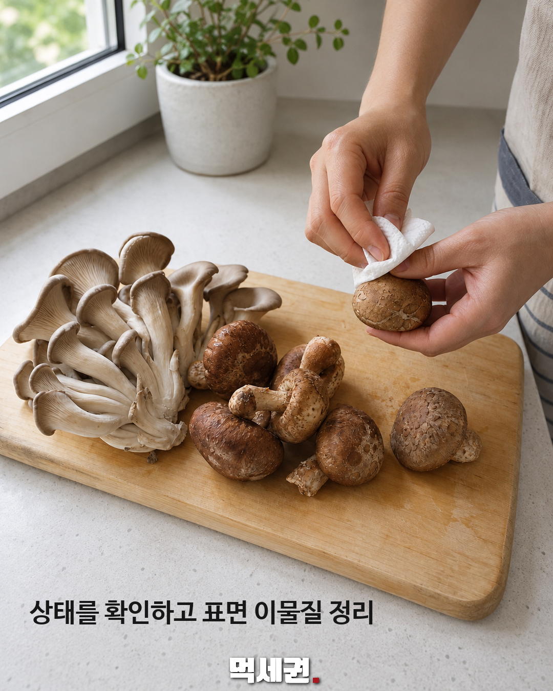 버섯 소분 냉동보관 먹세권 본문 1