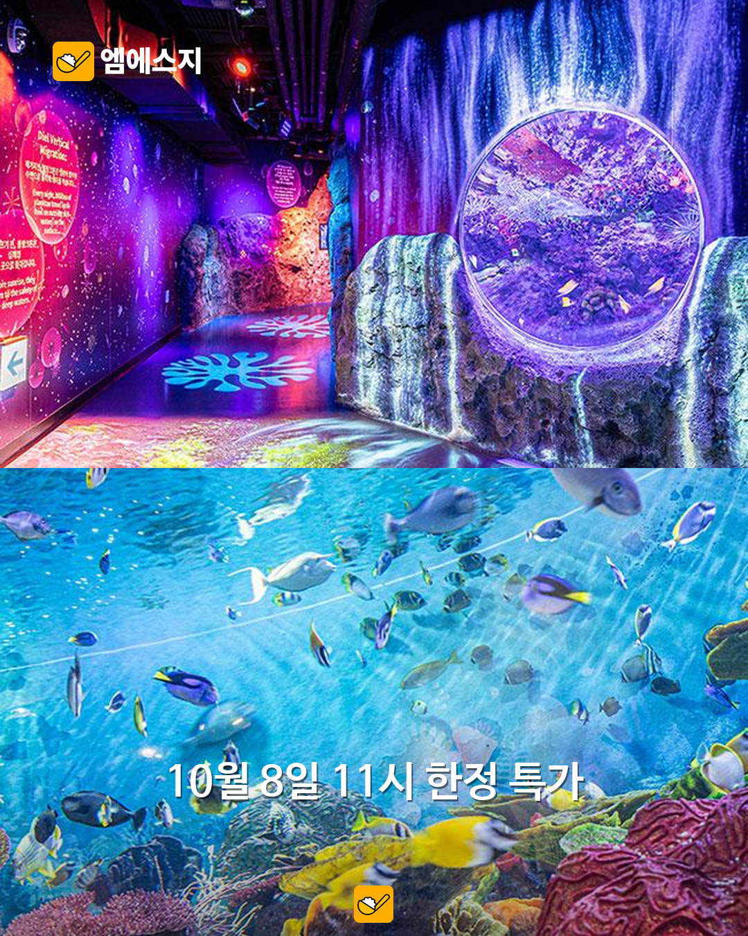 10월 8일 코엑스 도라에몽 패키지 특가 안내…1인 입장 포함 1만9900원부터 2 10월 8일 코엑스 도라에몽 패키지 특가 안내…1인 입장 포함 1만9900원부터 본문 사진 1