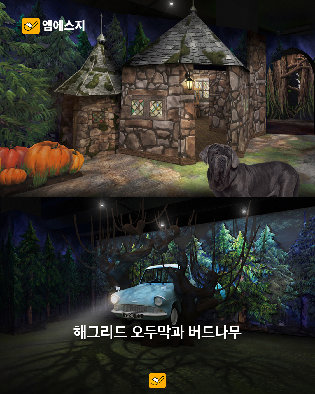 성수에 호그와트가 열린다…해리포터 특별전, 얼리버드 관람 기간 확인 6 주최 측 전시 연출 예시: 해그리드 오두막과 버드나무
