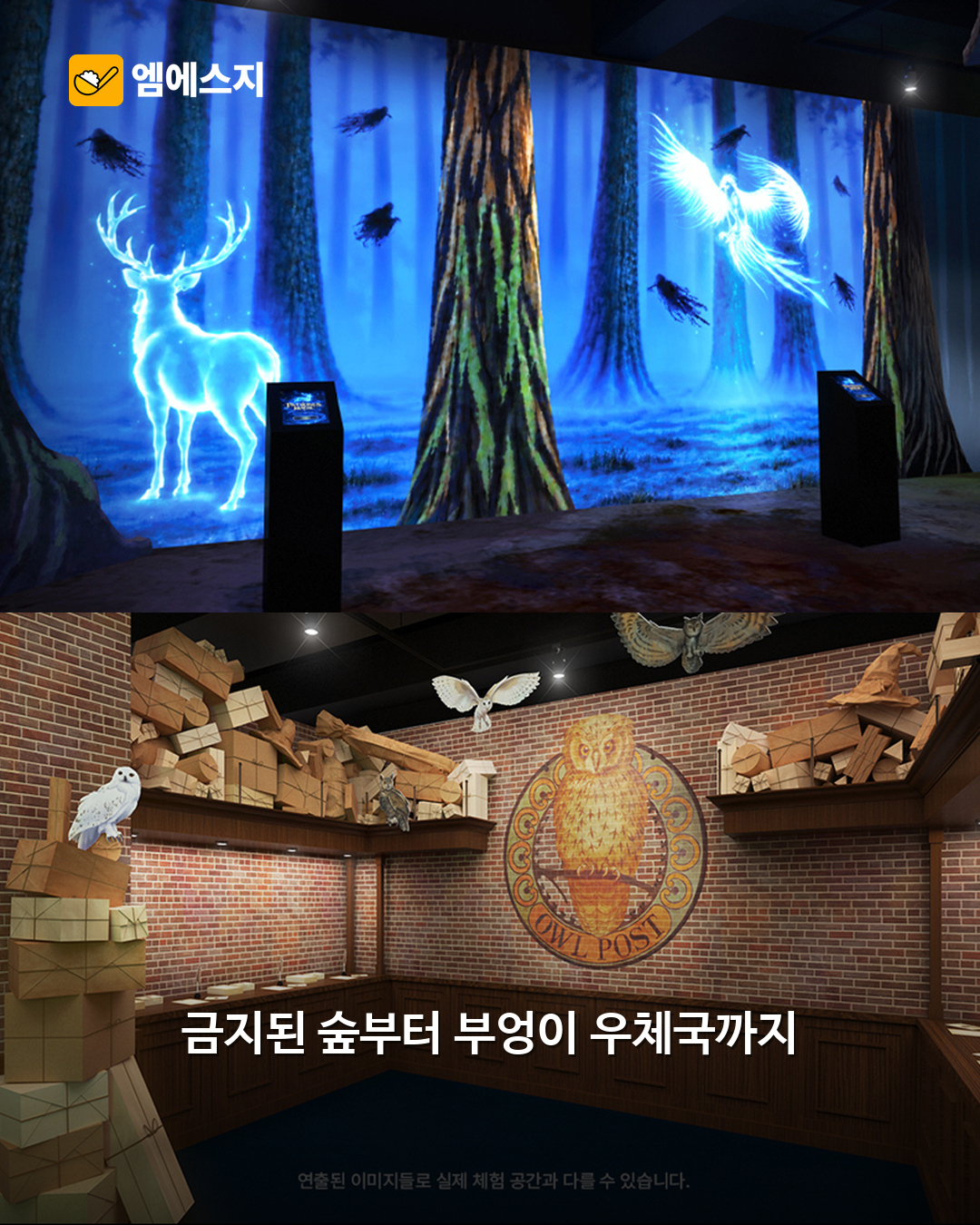 성수에 호그와트가 열린다…해리포터 특별전, 얼리버드 관람 기간 확인 7 주최 측 전시 연출 예시: 금지된 숲부터 부엉이 우체국까지