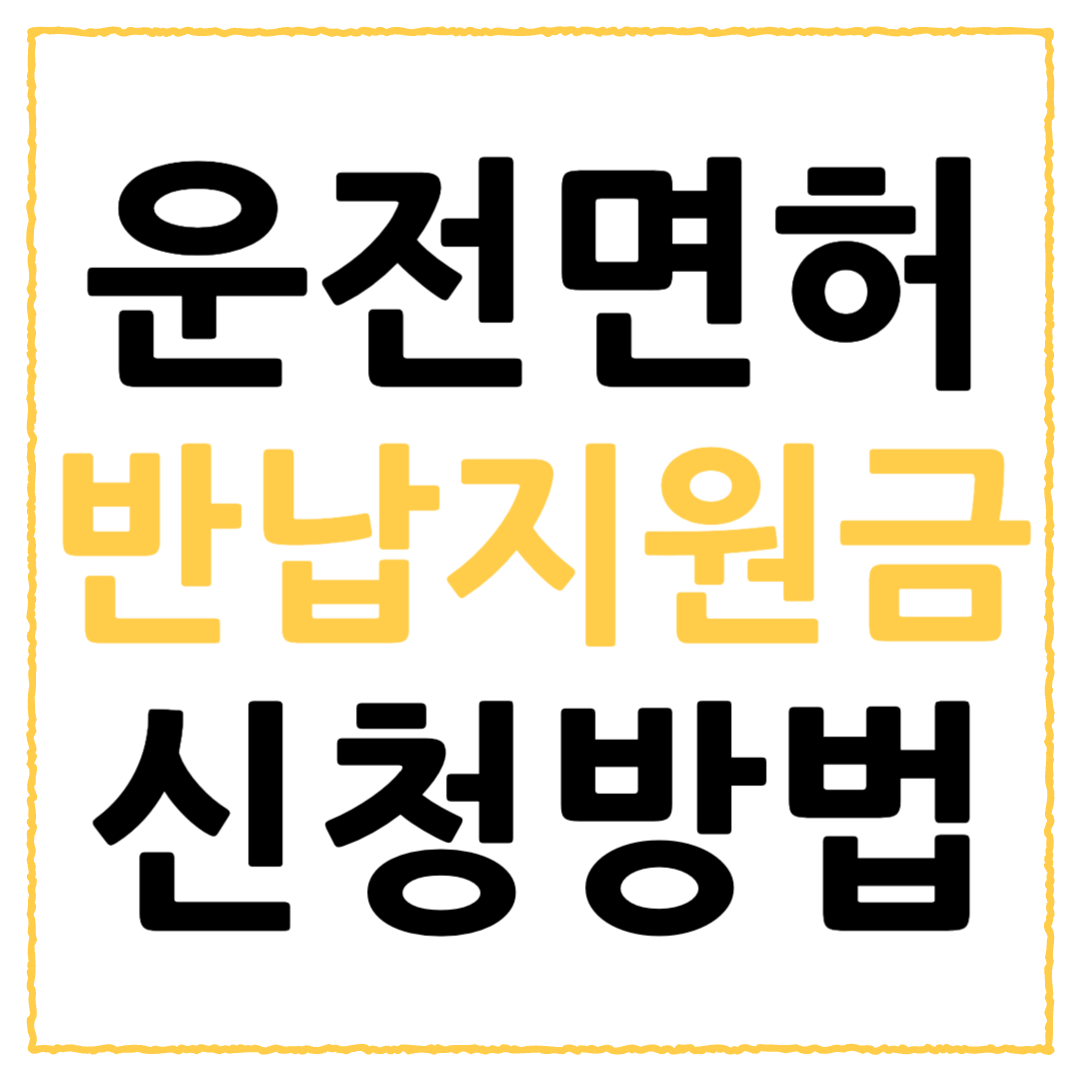 운전면허 반납 지원금