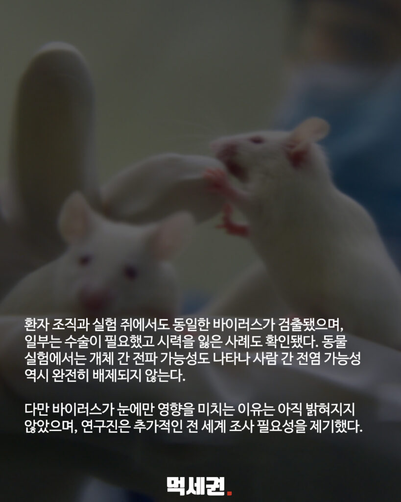 회먹다가 실명까지? 중국 수산물 바이러스 주의, 감염 경로, 증상 및 예방법 4 058 중국수산물실명 3 먹세권