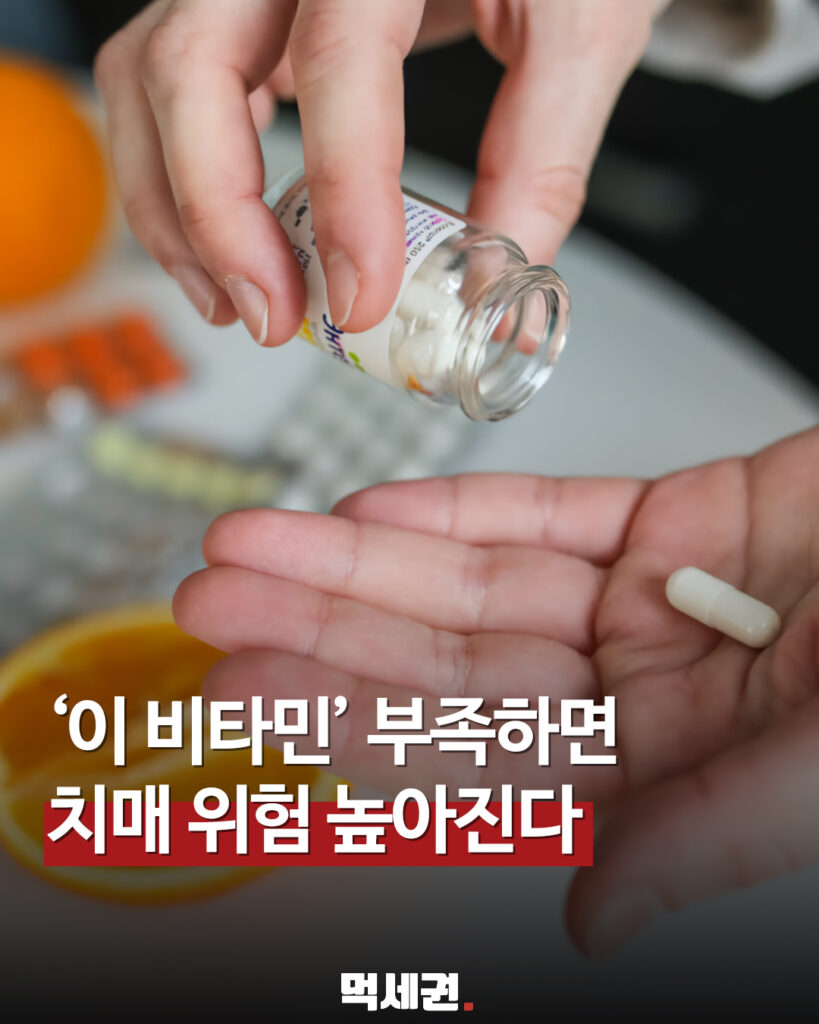 073 비타민부족치매 1 먹세권