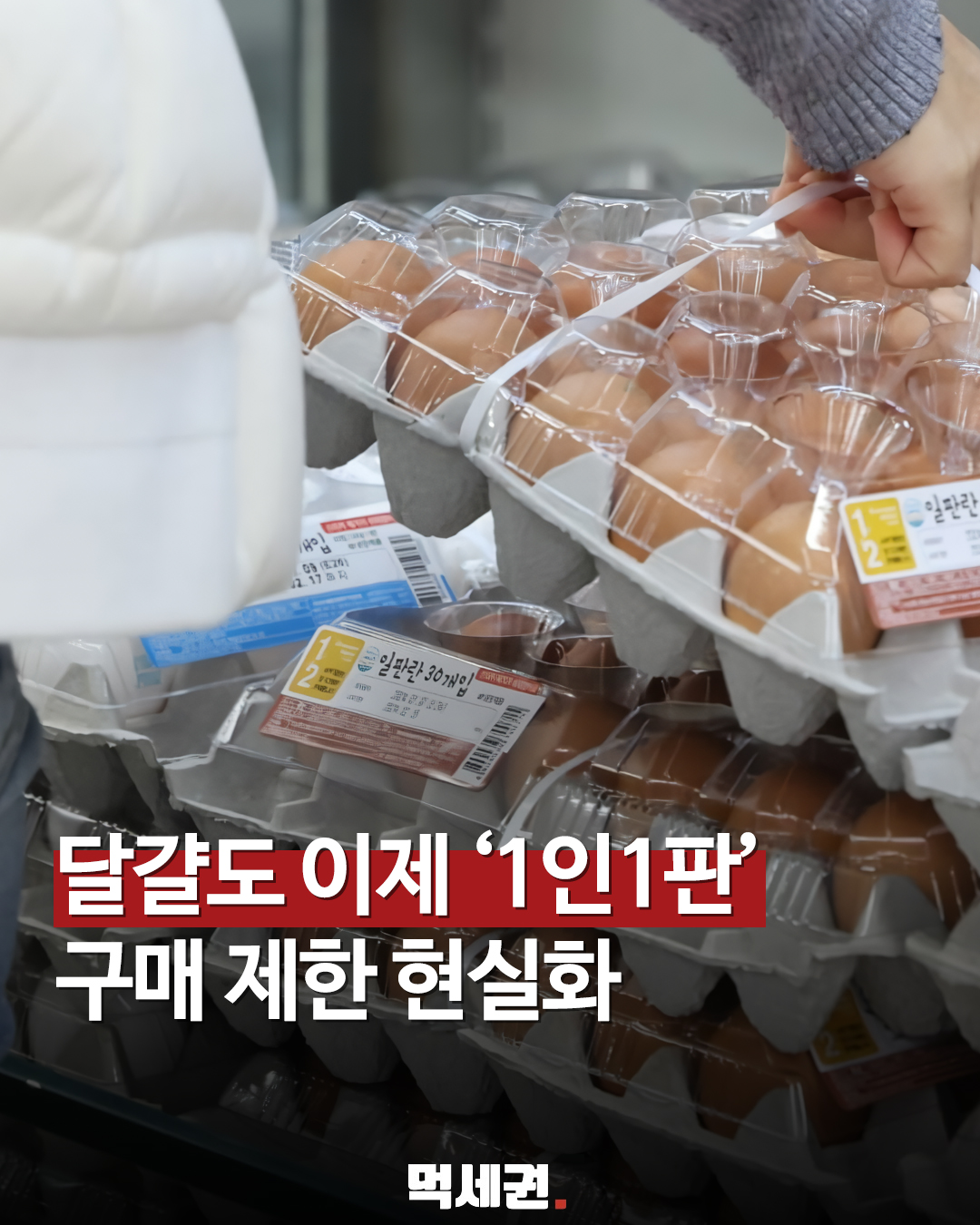 코스트코까지 '1인 1판' 제한, 달걀 공급 불안 어디까지 가나