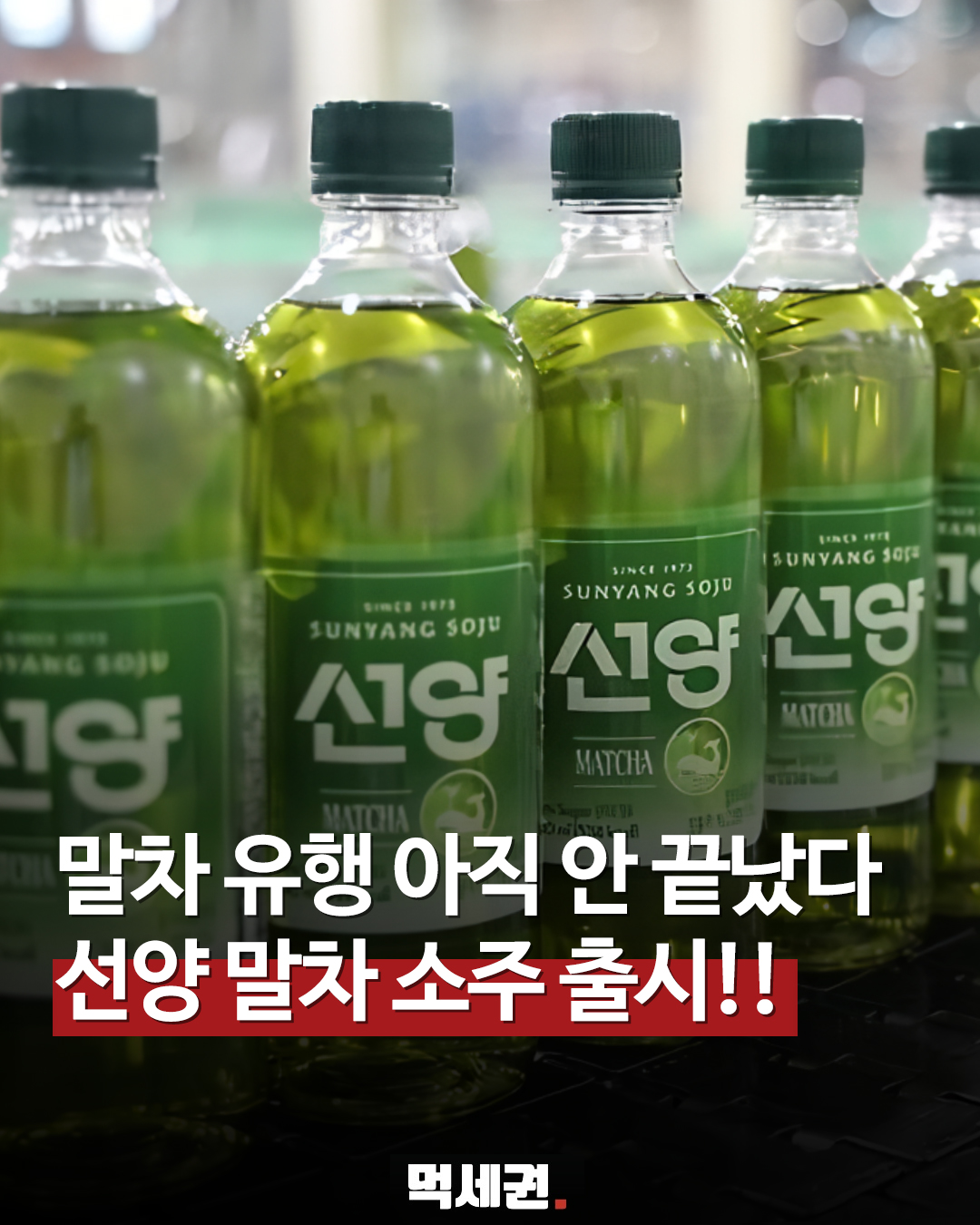 640ml 대용량의 위엄, GS25가 작정하고 출시한 말차 소주 디테일, 가격, 출시일, 재고조회 방법