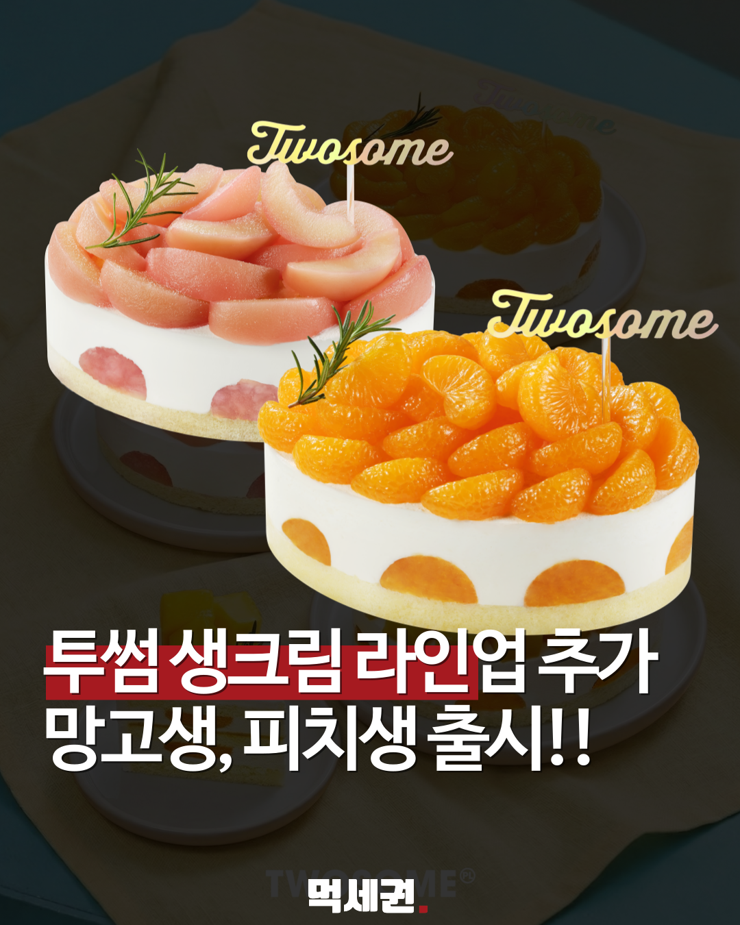 "비주얼 끝판왕" 투썸플레이스, 사계절 과일 디저트 '과일생' 라인업 확대, 가격 및 예약 방법 총정리