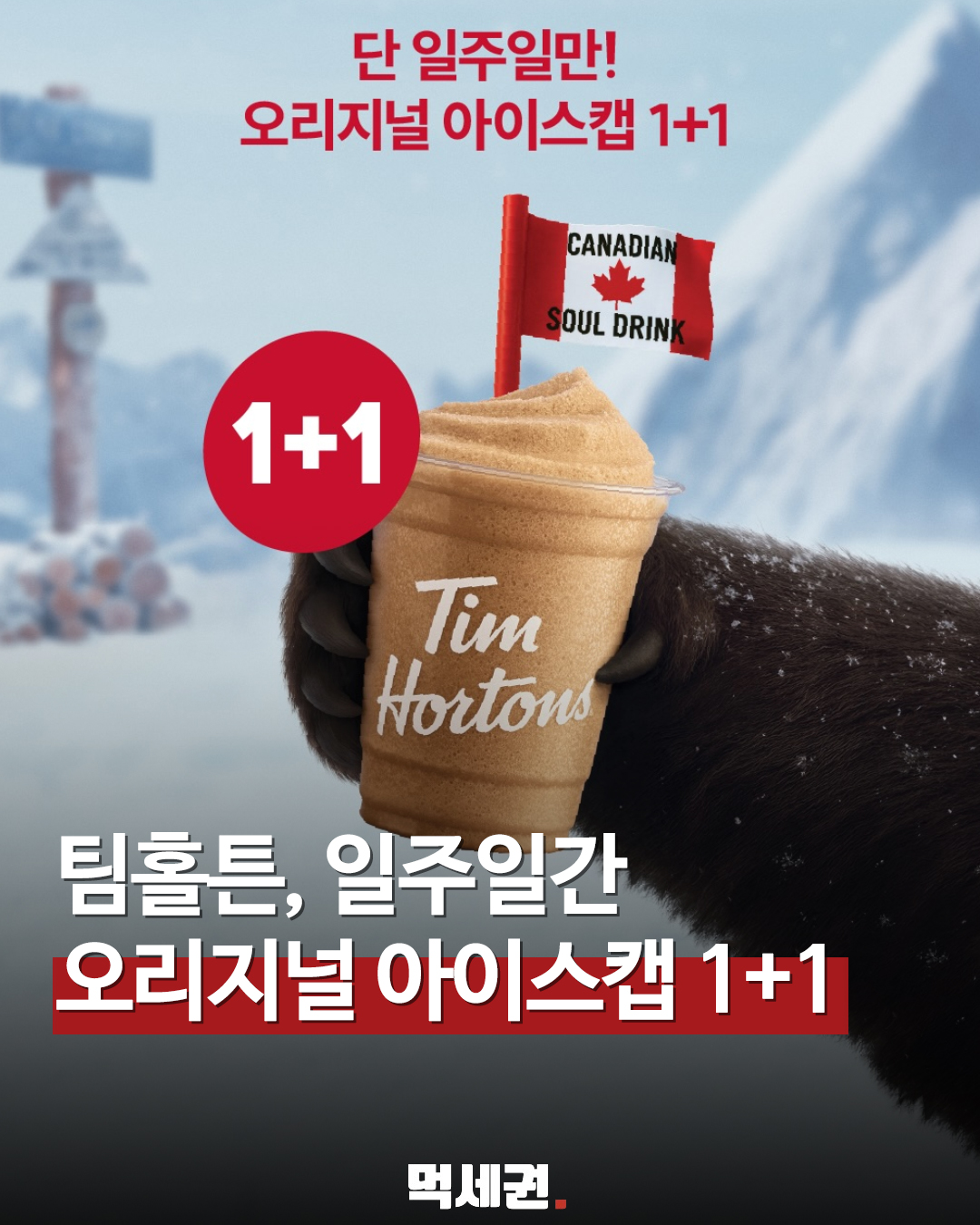 "더위사냥 상위호환?" 팀홀튼 오리지널 아이스캡, 기간 한정 1+1 돌입, 가격 및 출시일, 판매하는 곳
