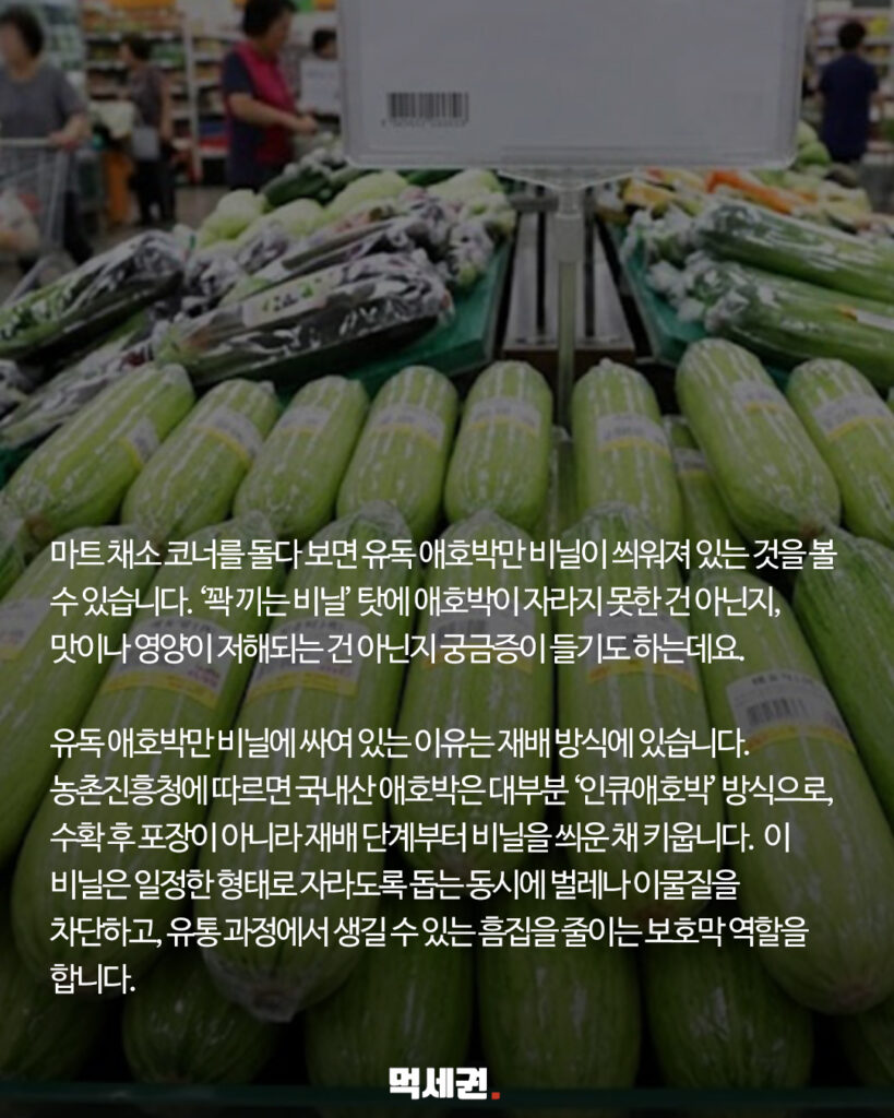 205 애호박비닐 2