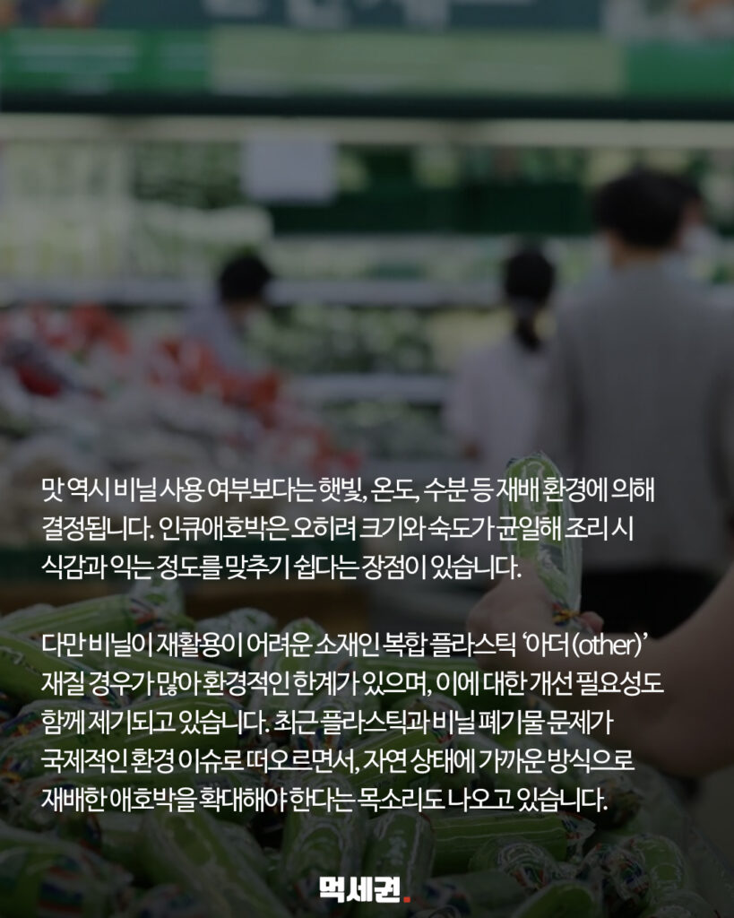 205 애호박비닐 4