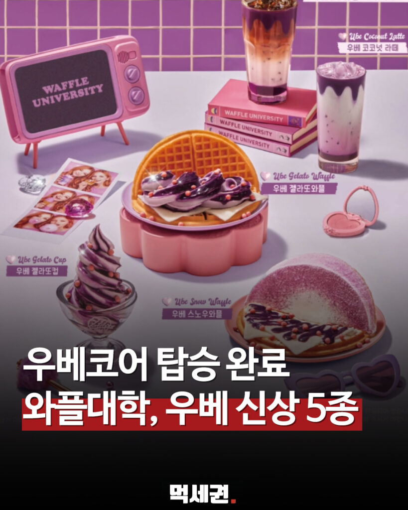 220 와플대학우베신상 1