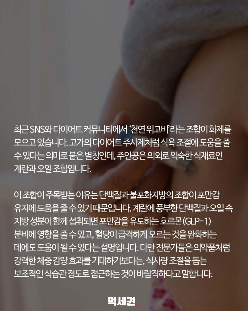 247 천연위고비 2