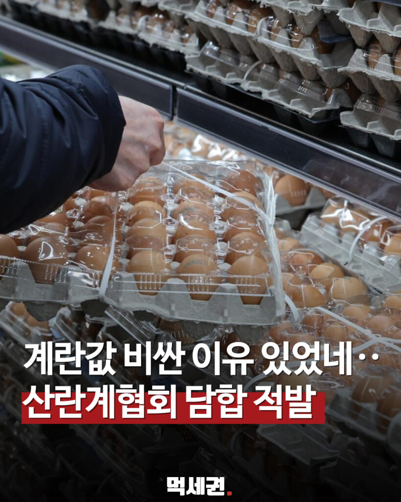 257 계란값담합