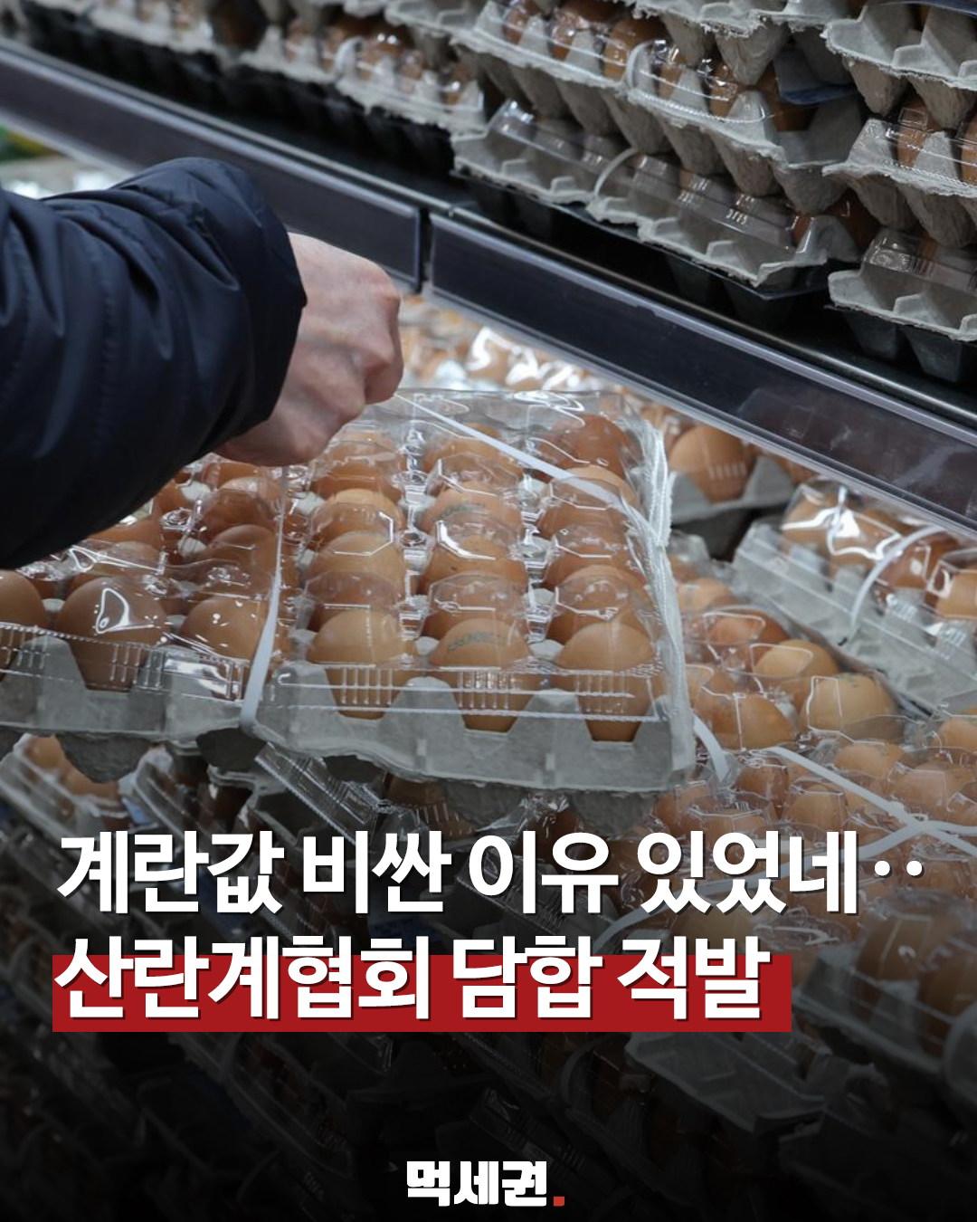 공정위, 계란 가격 담합한 협회 엄중 경고… "기준가 정해 전국 통보"