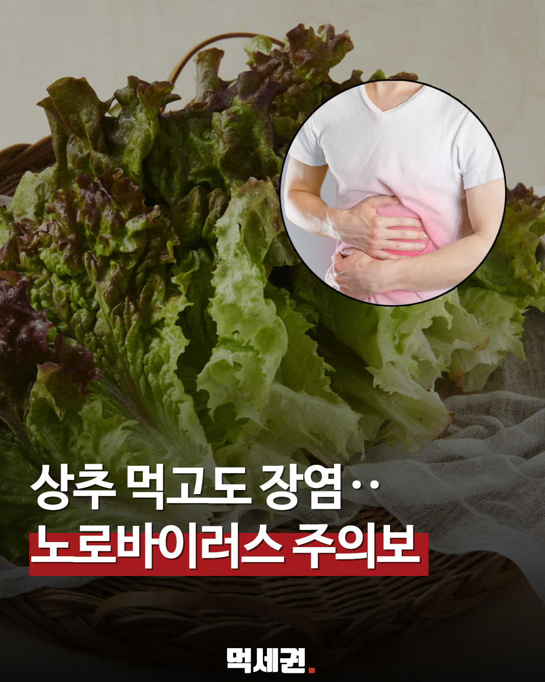 고기 먹을 때 필수인데… 상추가 '노로바이러스' 고위험 식품인 이유