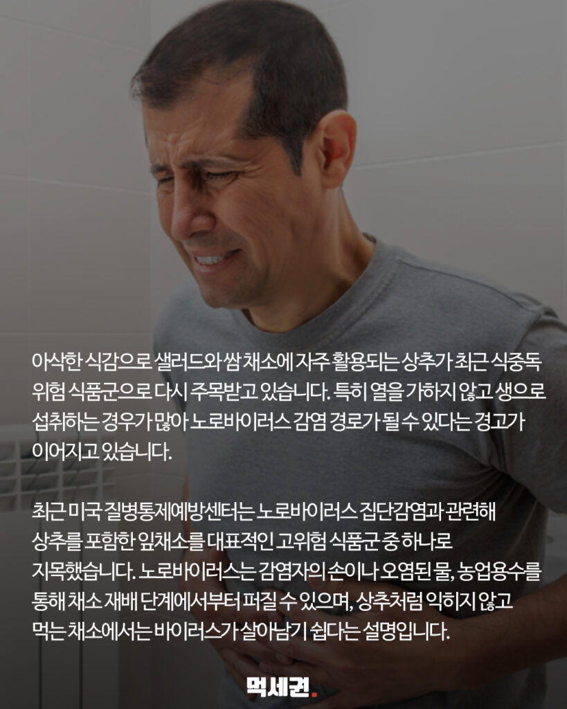 고기 먹을 때 필수인데… 상추가 '노로바이러스' 고위험 식품인 이유 3 262 상추장염 2