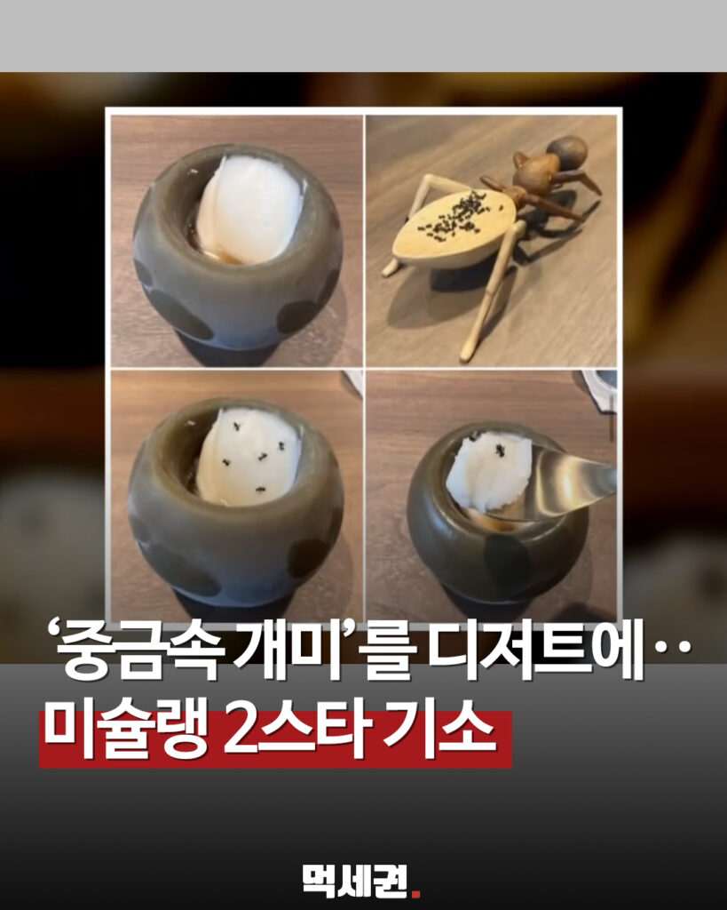 265 미슐랭개미 1