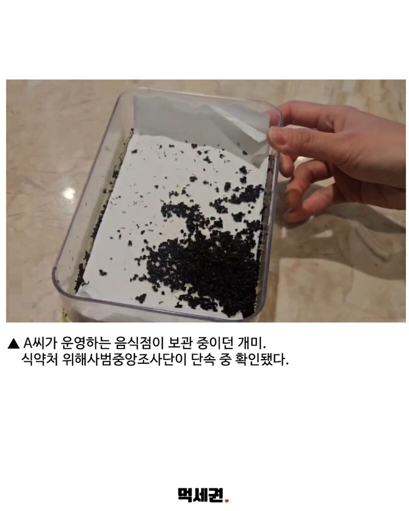 265 미슐랭개미 2