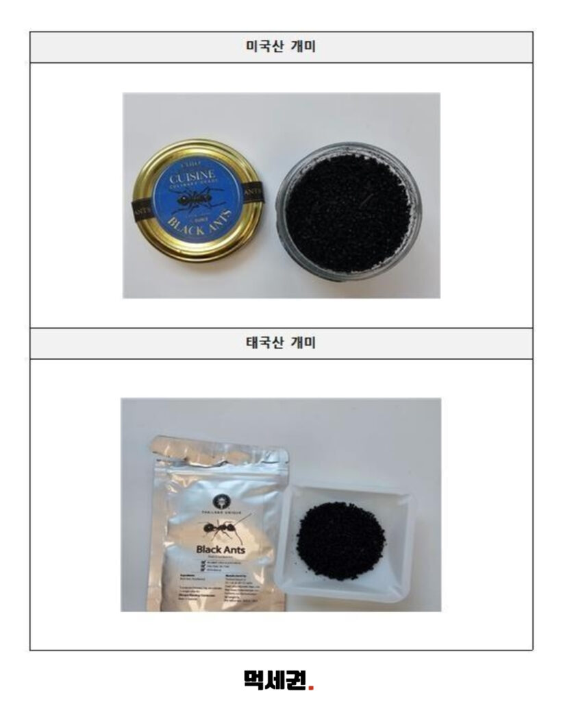 265 미슐랭개미 3