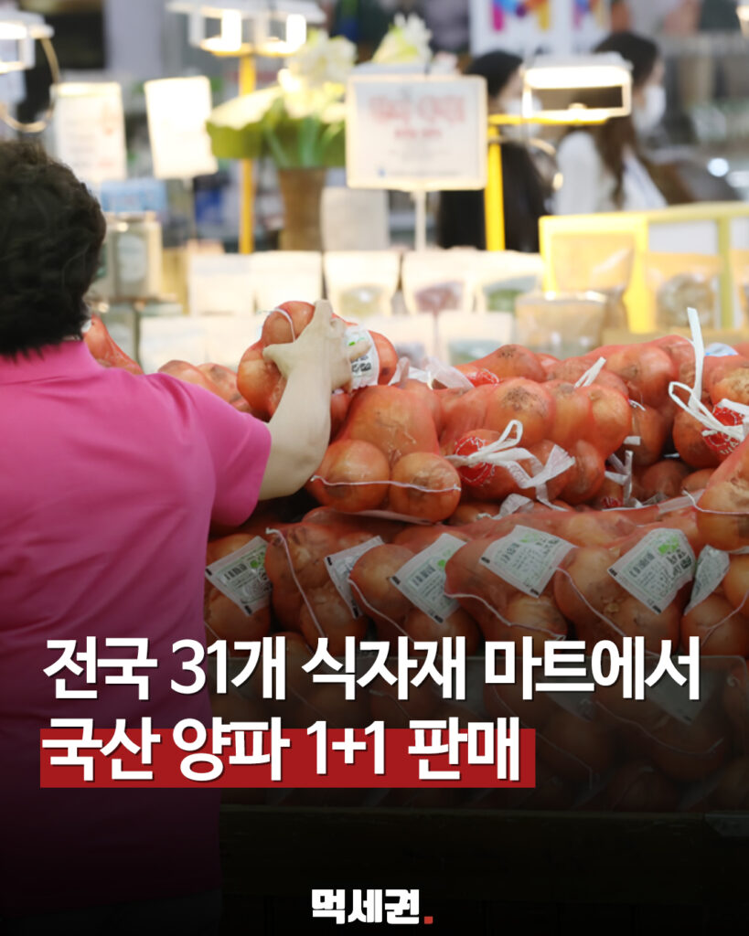 305 양파원쁠원 1