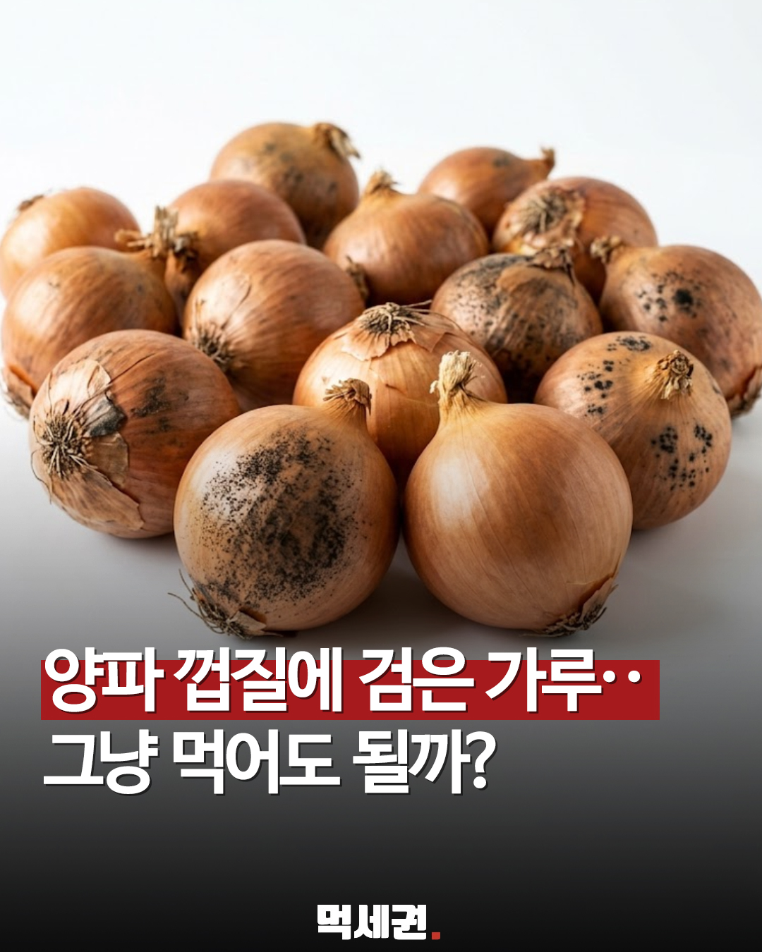 흙먼지인 줄 알았는데 곰팡이? 양파 깔 때 꼭 확인해야 하는 부분