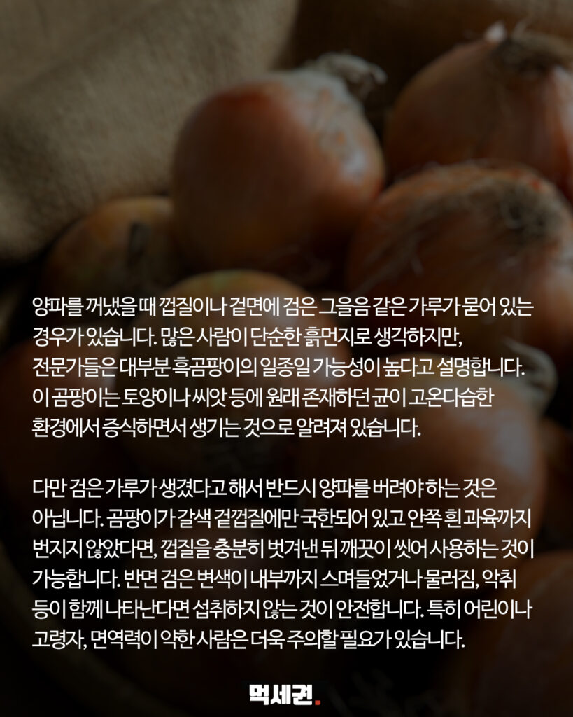 흙먼지인 줄 알았는데 곰팡이? 양파 깔 때 꼭 확인해야 하는 부분 3 321 양파검은가루 2