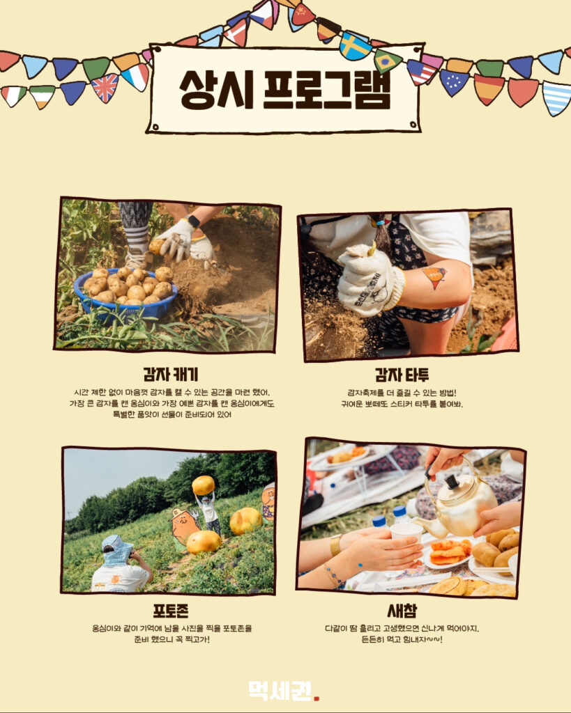 326 춘천감자축제 7