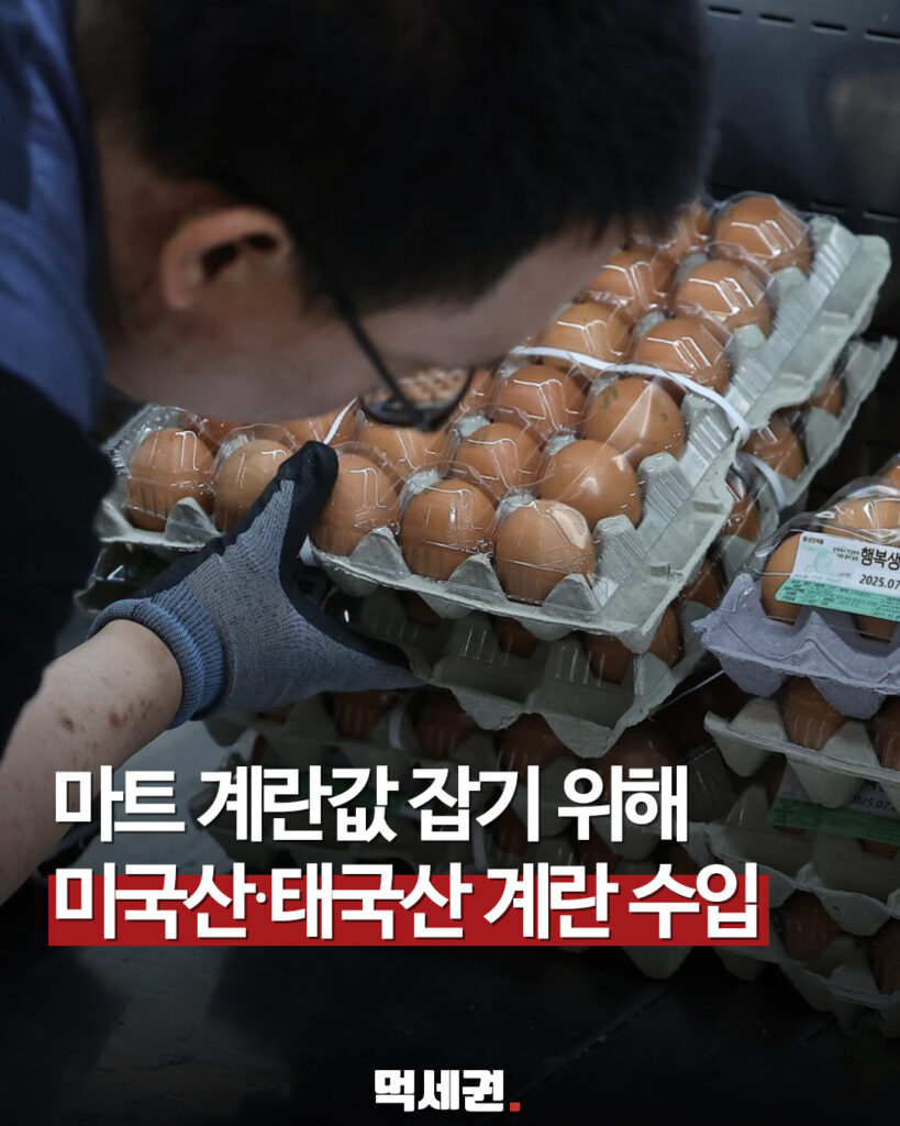 농림축산식품부, 물가 안정 위해 미국산·태국산 신선란 2,112만 개 추가 수입 2 414 수입계란공급