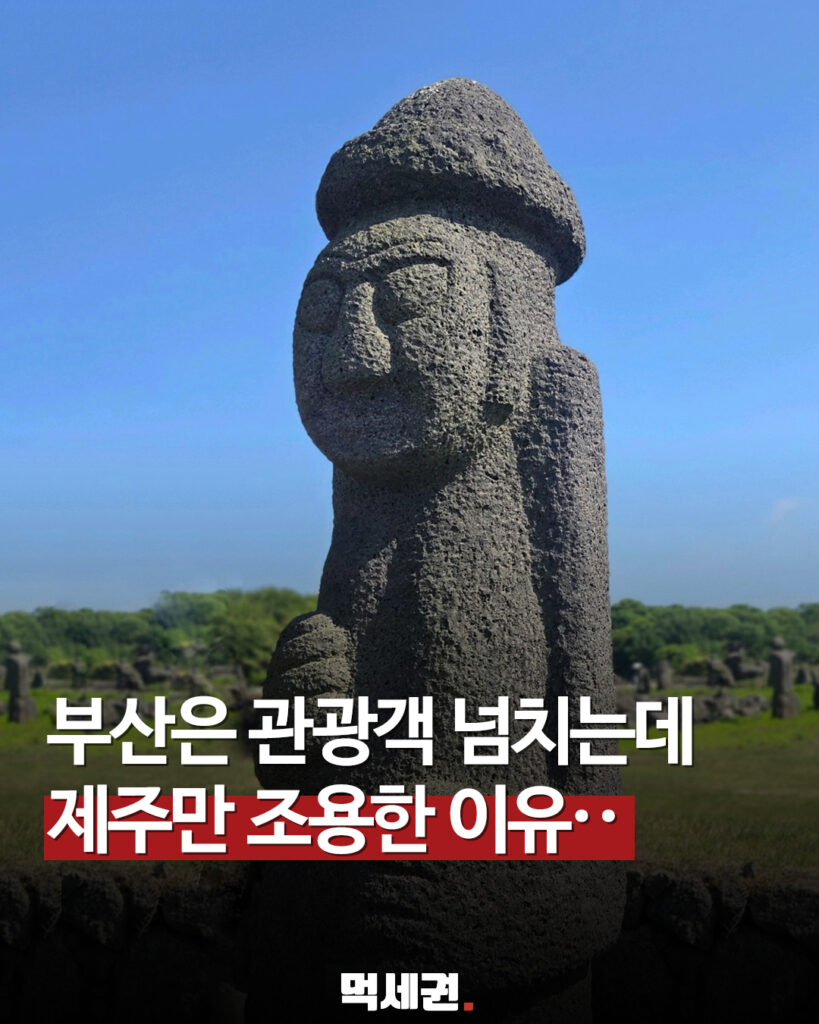 437 제주관광객