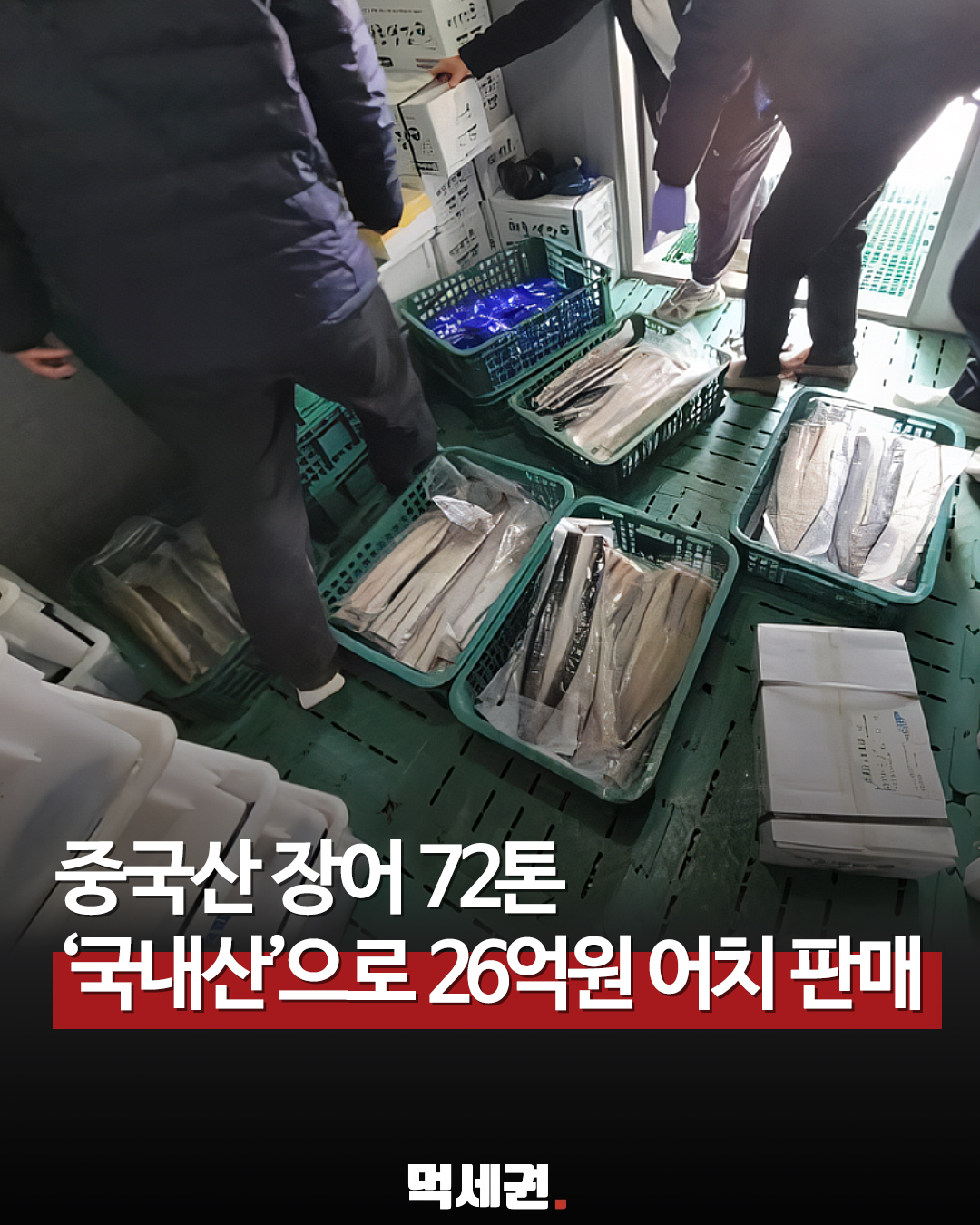 중국산 냉동 장어를 '국내산'으로 속여 판 유통업자, 26억 원어치, 72톤 물량 검찰 송치