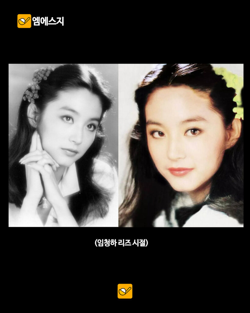 211 임청하근황 2