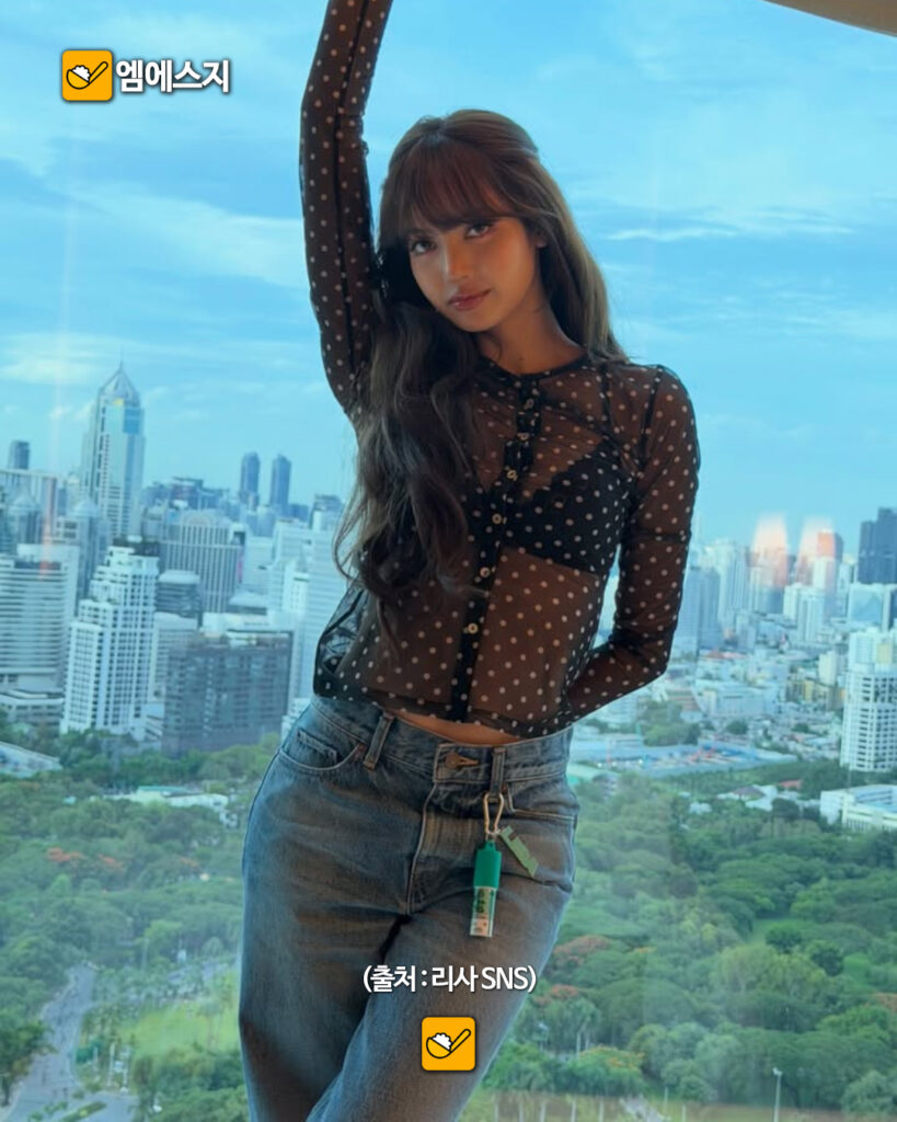 블랙핑크 리사 파격 시스루 패션 화제: 월드컵 개막식 성료 후 전달한 근황, 프로필 나이 정보 총정리 4 278 블핑리사시스루 1 3