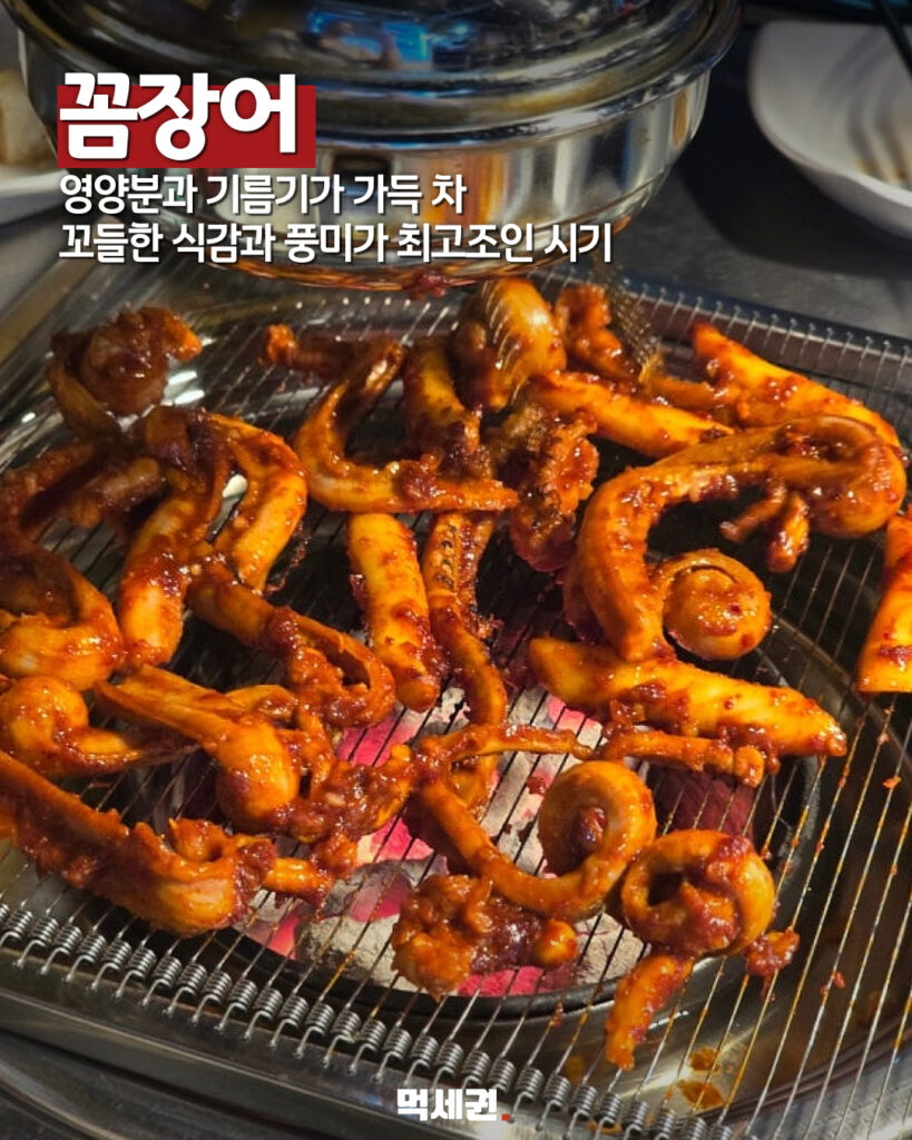 7월 무더위 속 기름기 차오른 '제철 수산물 8선' 공식 리스트 공개, 7월 제철회, 꼼장어, 민물장어, 한치, 벤자리, 민어회, 전복, 돌문어, 밴댕이 3 498 7월제철음식 2
