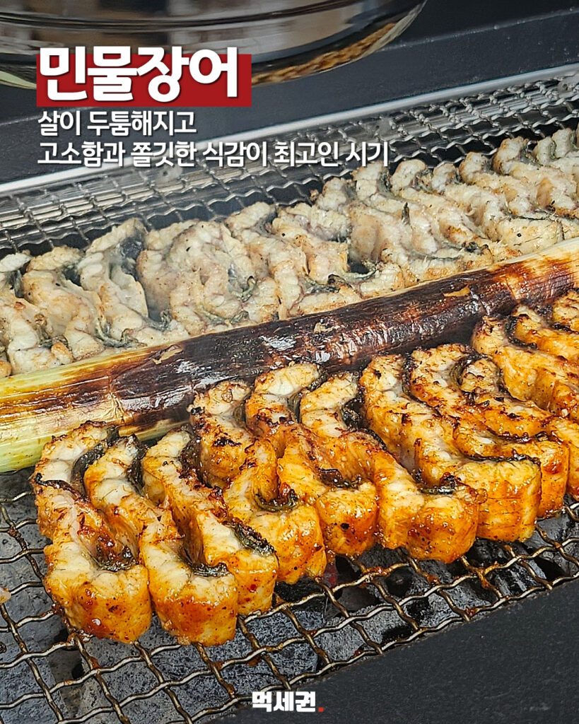 7월 무더위 속 기름기 차오른 '제철 수산물 8선' 공식 리스트 공개, 7월 제철회, 꼼장어, 민물장어, 한치, 벤자리, 민어회, 전복, 돌문어, 밴댕이 8 498 7월제철음식 6