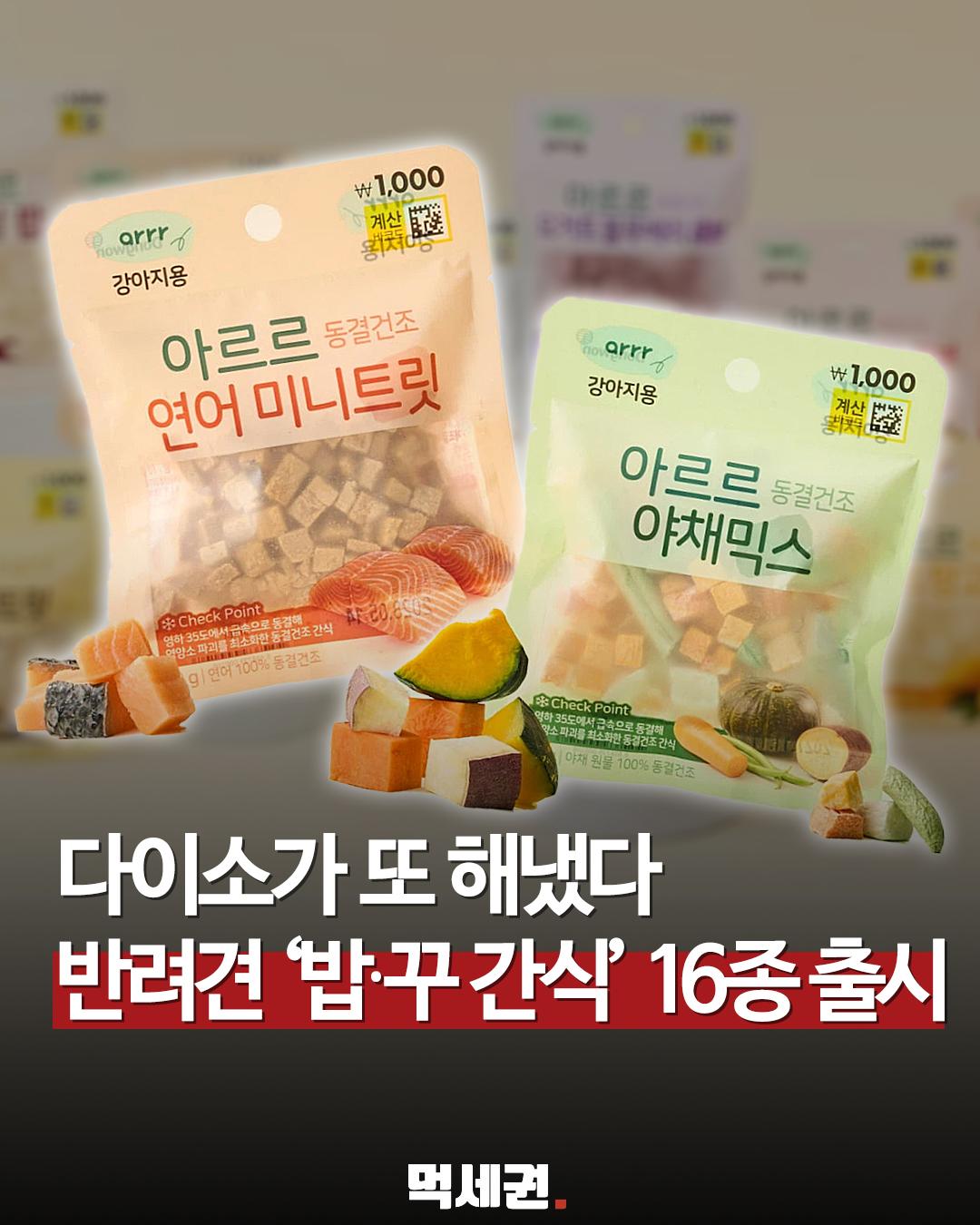 동원F&B 아르르, 다이소서 반려견용 간식 출시… 펫푸드 시장 공략 확대, 가격 및 후기 정보