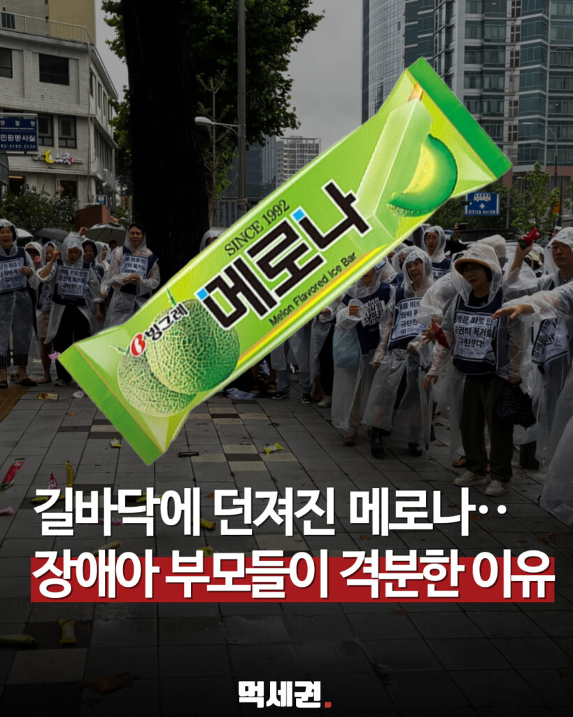 566 장애아부모메로나