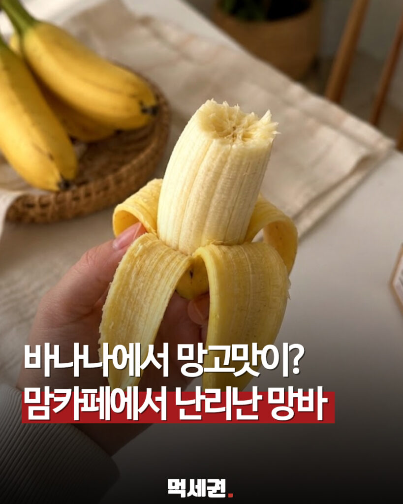 "망고 향이 나는 바나나?"…온라인서 화제 모은 망고바나나의 정체, 구매링크, 구매방법 및 가격, 후기 2 571 망고바나나 1