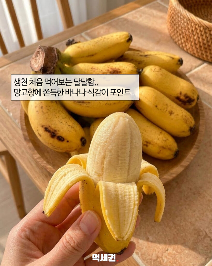 "망고 향이 나는 바나나?"…온라인서 화제 모은 망고바나나의 정체, 구매링크, 구매방법 및 가격, 후기 3 571 망고바나나 2
