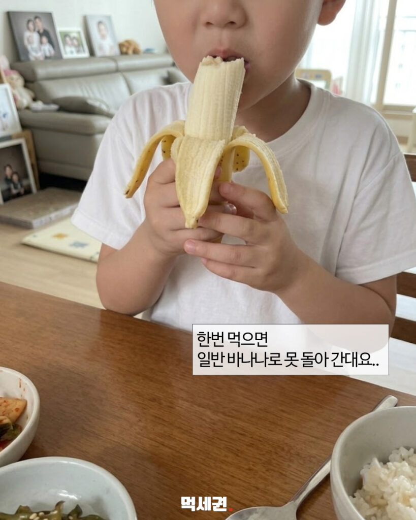 "망고 향이 나는 바나나?"…온라인서 화제 모은 망고바나나의 정체, 구매링크, 구매방법 및 가격, 후기 4 571 망고바나나 3