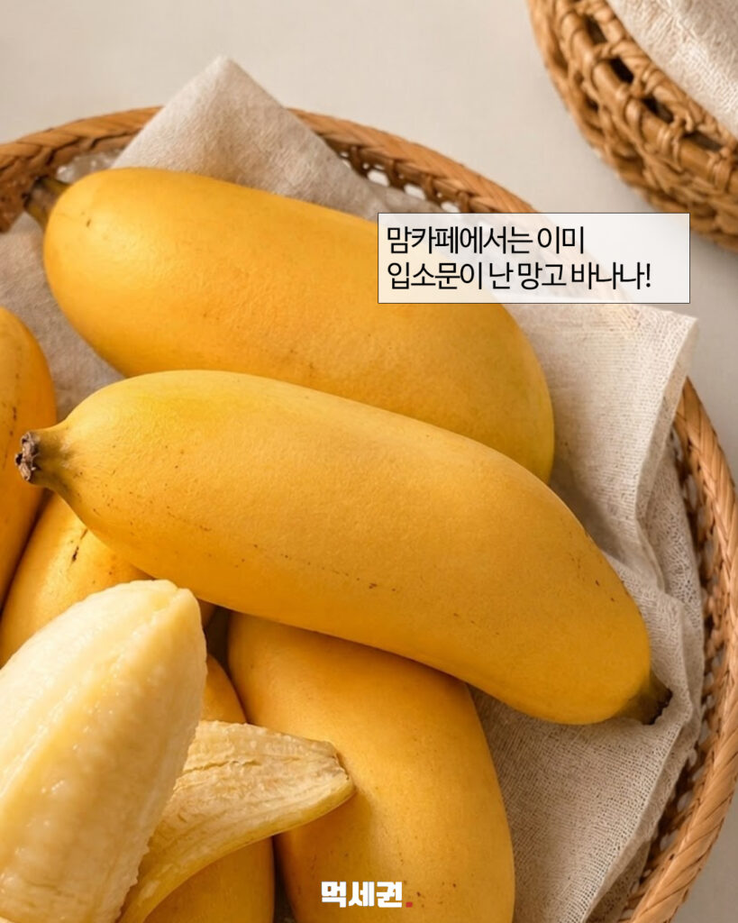 "망고 향이 나는 바나나?"…온라인서 화제 모은 망고바나나의 정체, 구매링크, 구매방법 및 가격, 후기 5 571 망고바나나 4