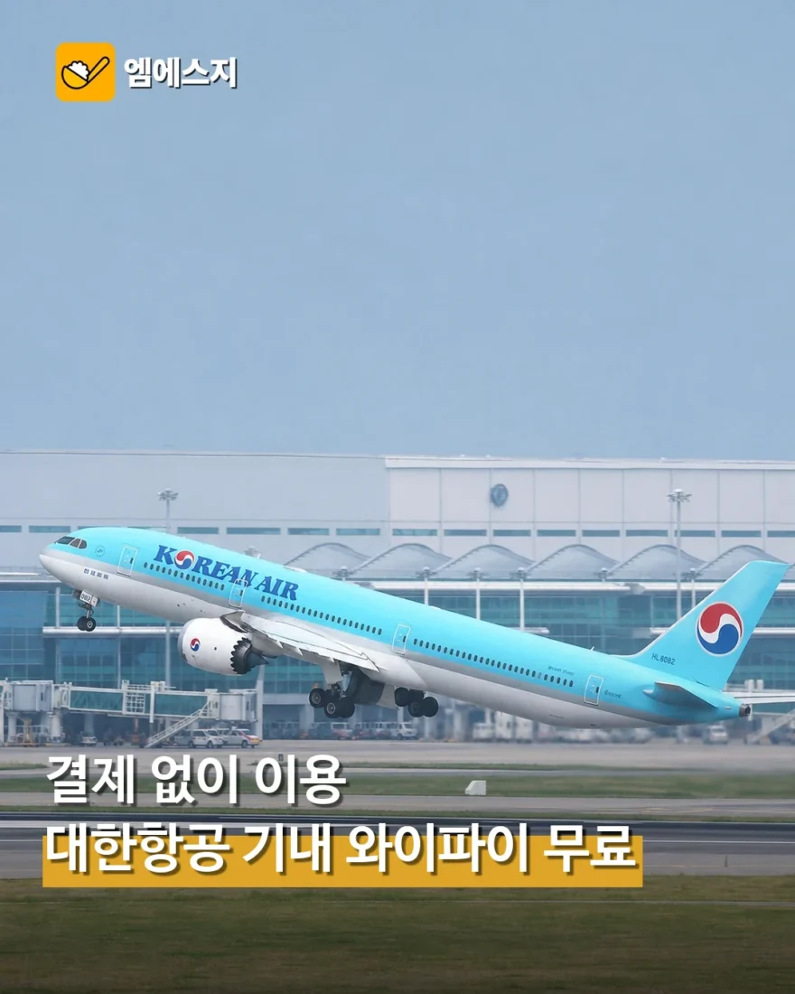 대한항공 기내 와이파이 전면 무료화…스타링크 기반