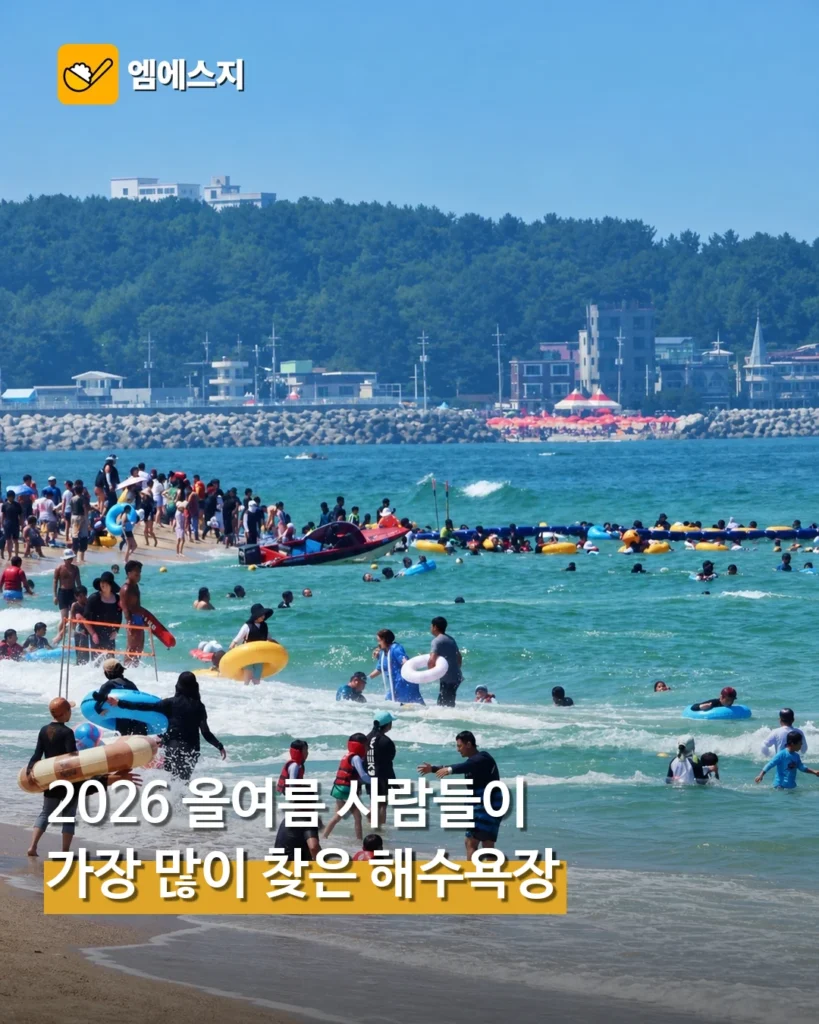 2026 여름 가장 많이 찾은 해수욕장 TOP5 공개