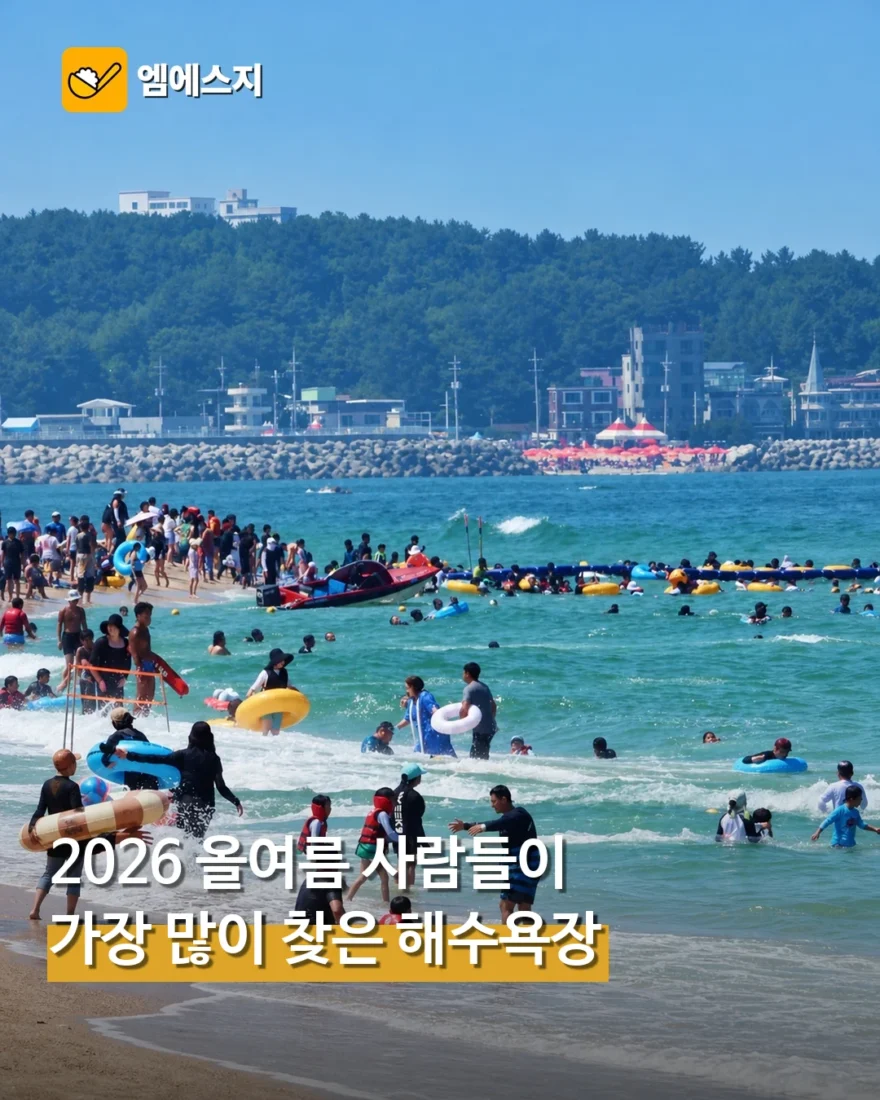 2026 여름 가장 많이 찾은 해수욕장 TOP5 공개
