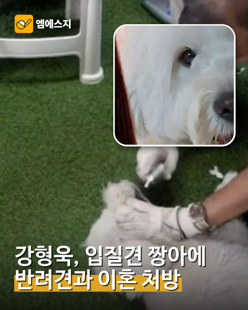 001 강형욱 입질견 짱아에 반려견과 이혼 처방