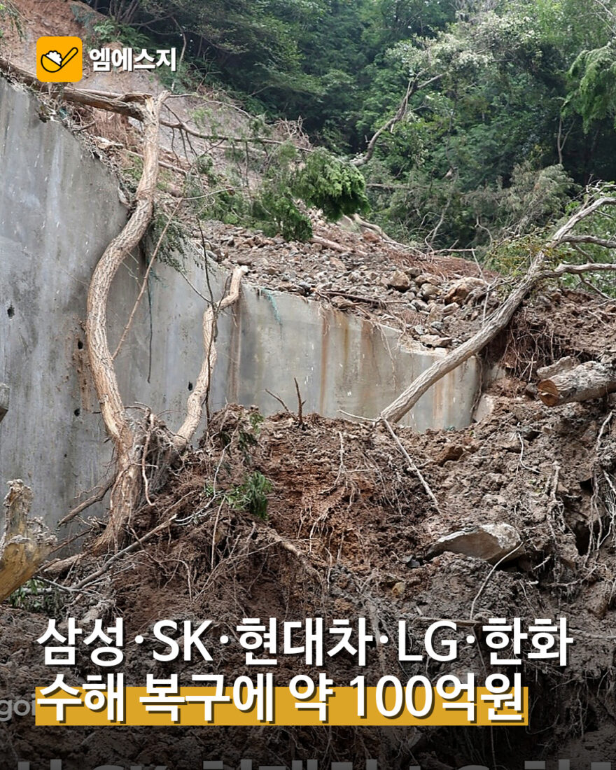 001 삼성 SK 현대차 LG 한화 수해 복구 100억