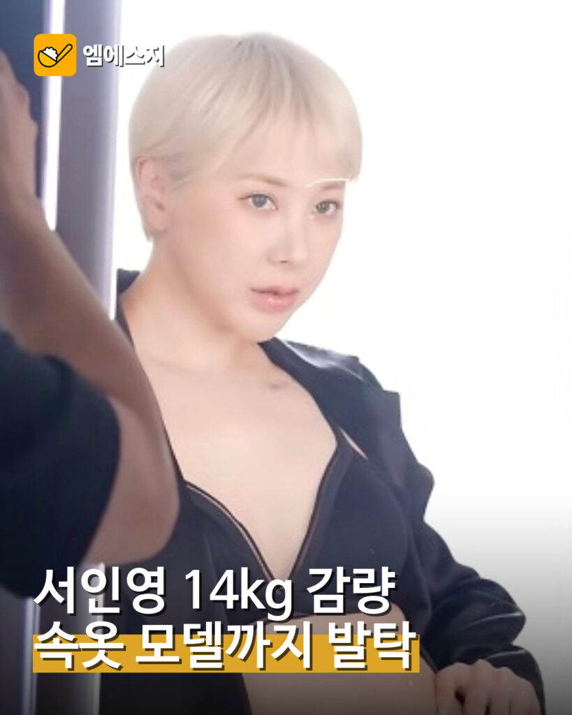 서인영 14kg 감량 후 속옷 모델 대표 이미지