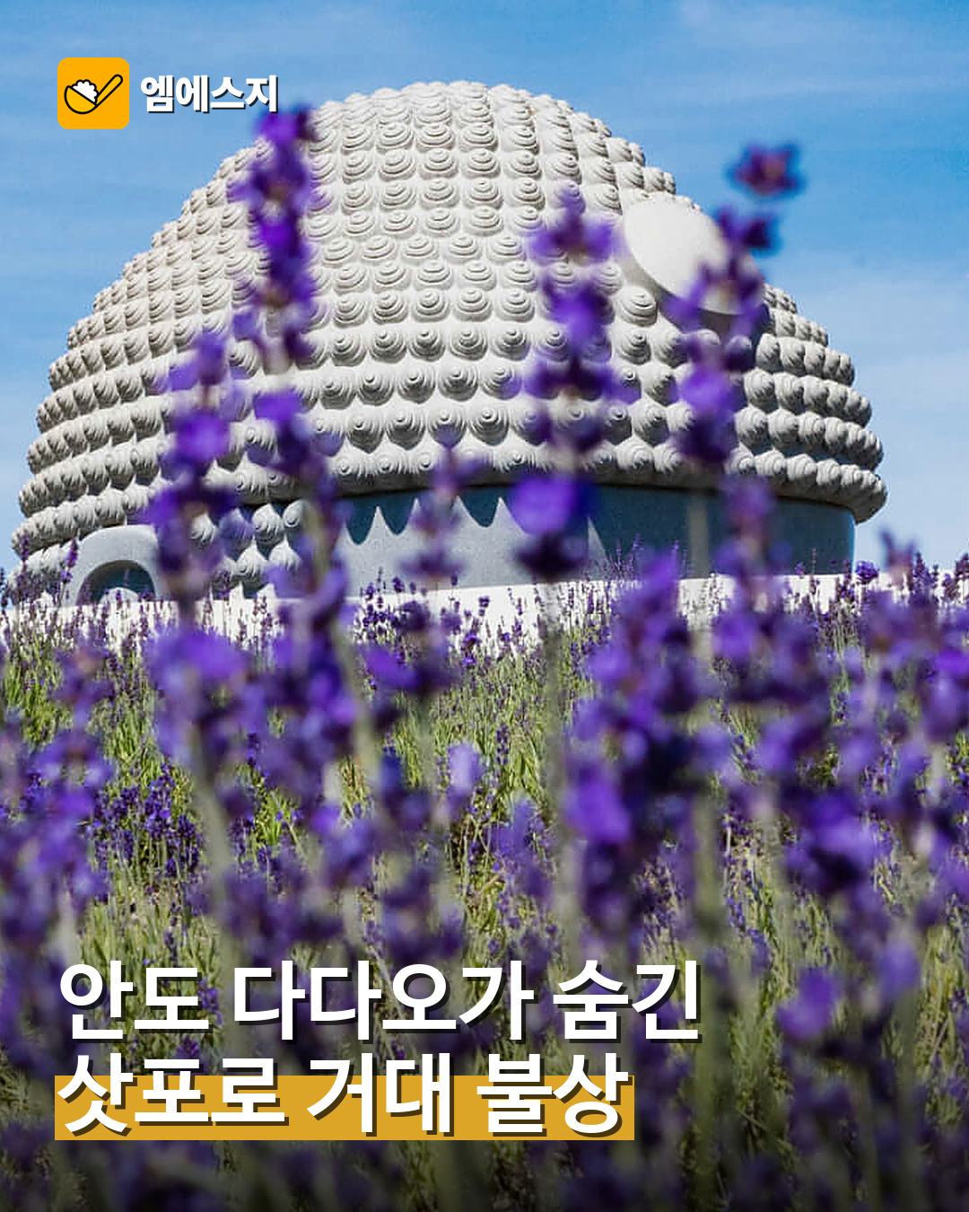 001 안도 다다오가 숨긴 삿포로 거대 불상