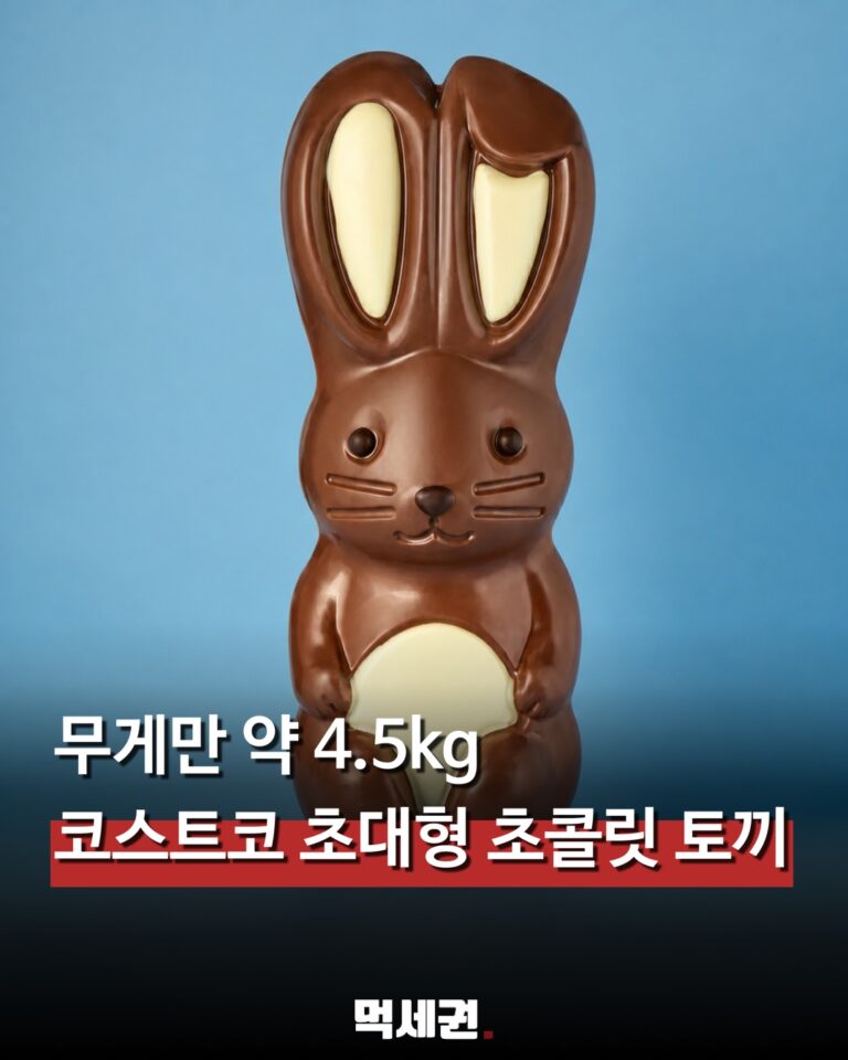 001 코스트코대형초콜릿토끼