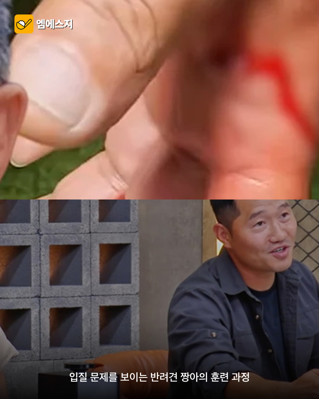 강형욱, 입질견 짱아 보호자에 “반려견과 이혼” 처방 4 강형욱 입질견 짱아에 반려견과 이혼 처방 관련 이미지 3
